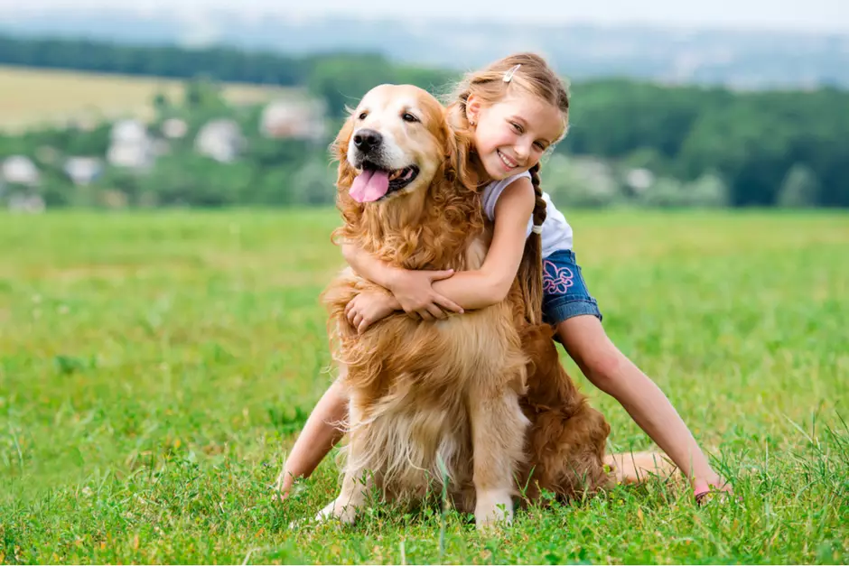 Descomplicando o Convívio com Seu Pet